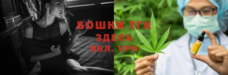 Каннабис THC 21%  как найти закладки  Камень-на-Оби 